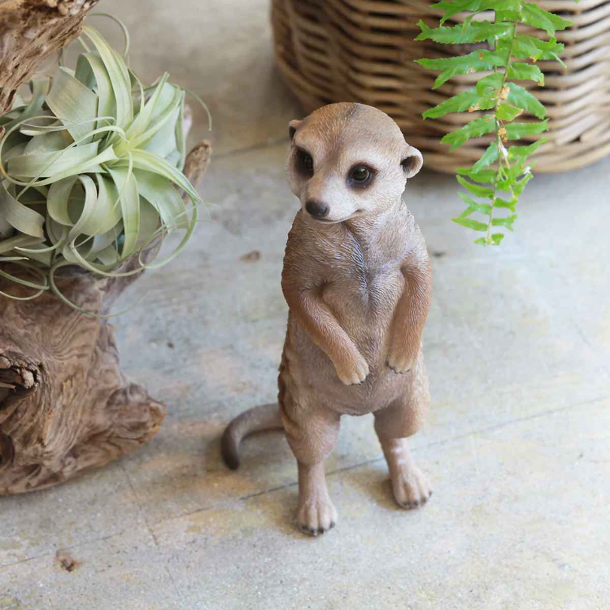 magnet オブジェ ミーアキャット ペットバンク 貯金箱 （ 置物 動物