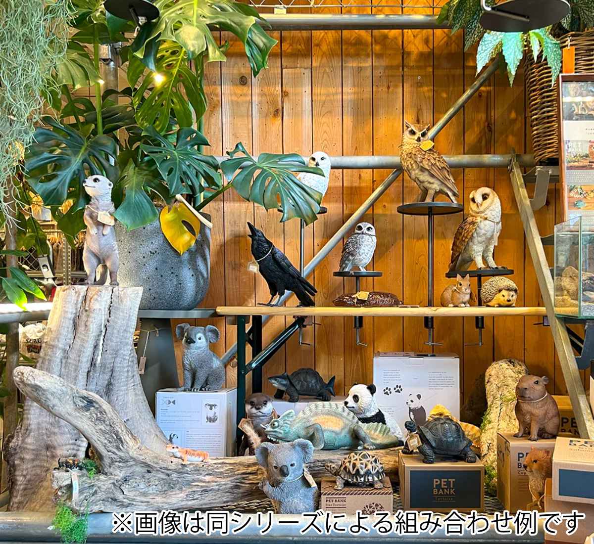magnet オブジェ ミーアキャット ペットバンク 貯金箱 （ 置物 動物