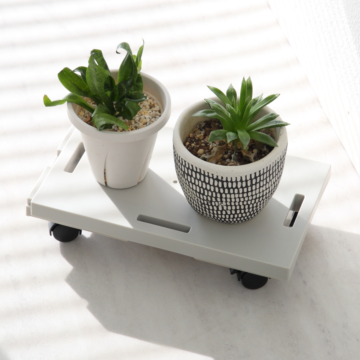 サンコープラスチック 平台車 連結できる ラクゴロ ミドル キャスター