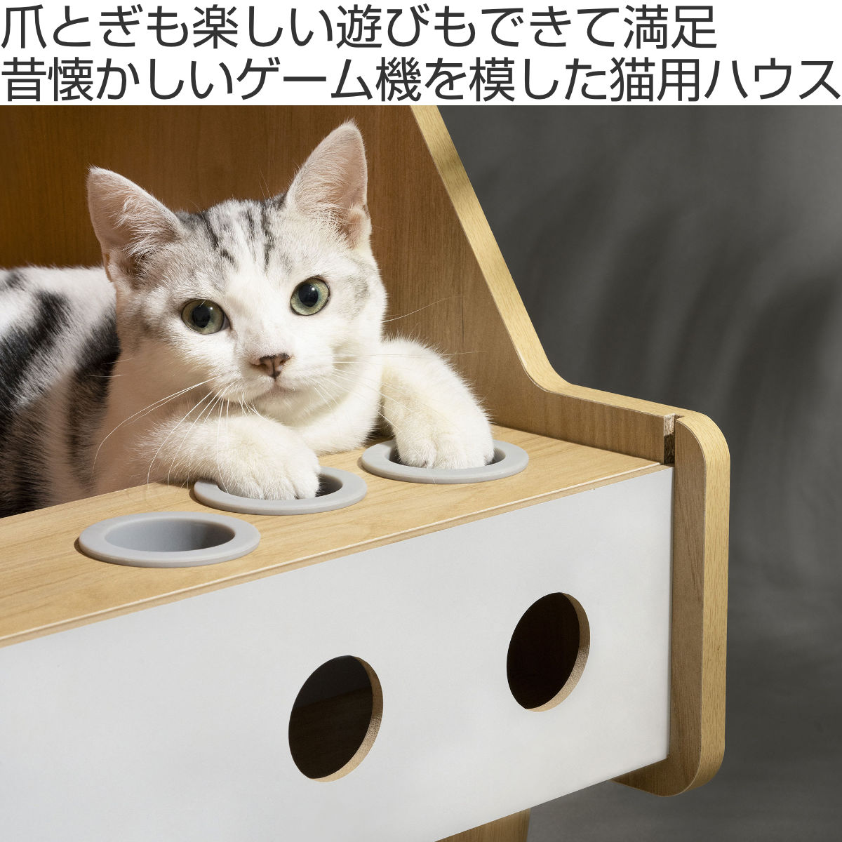 ペットハウス ミオファン ゲームハウス （ キャットハウス 猫用 ペット 