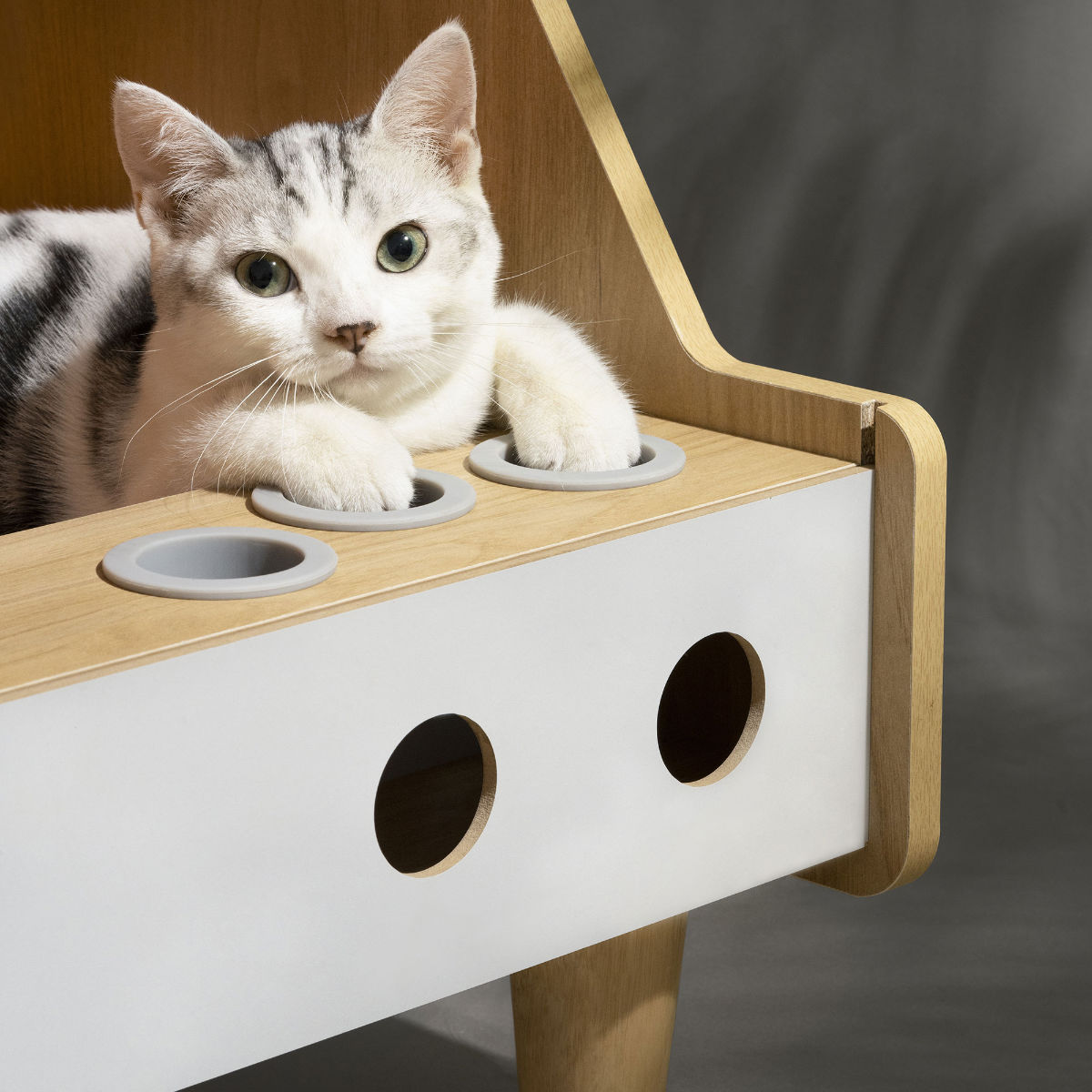 ペットハウス ミオファン ゲームハウス （ キャットハウス 猫用 ペット