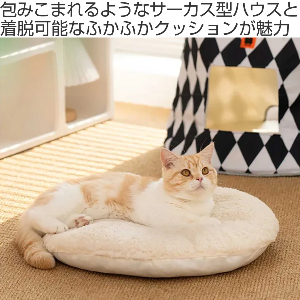 ペットハウス ミオファン サーカスハウス L （ キャットハウス 猫用 