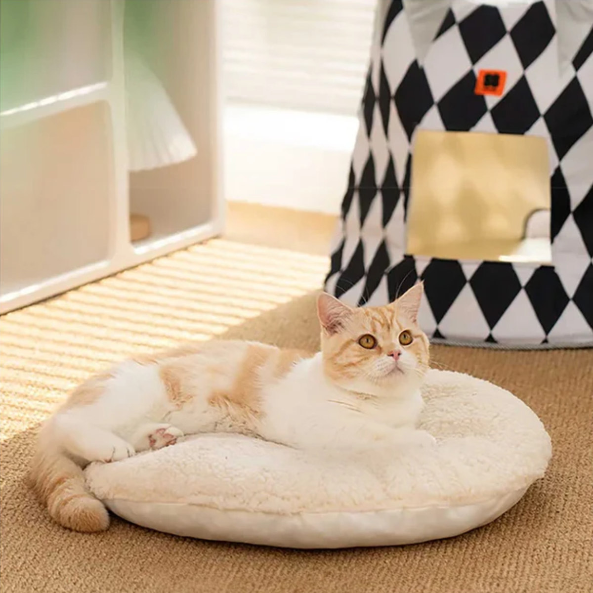 ペットハウス ミオファン サーカスハウス L （ キャットハウス 猫用