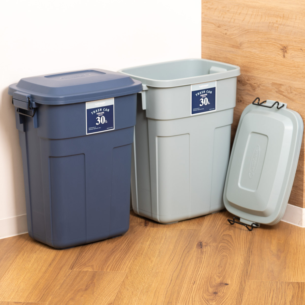 ゴミ箱 ロック付き 30L プラスチック （ ごみ箱 30リットル 丈夫 屋外