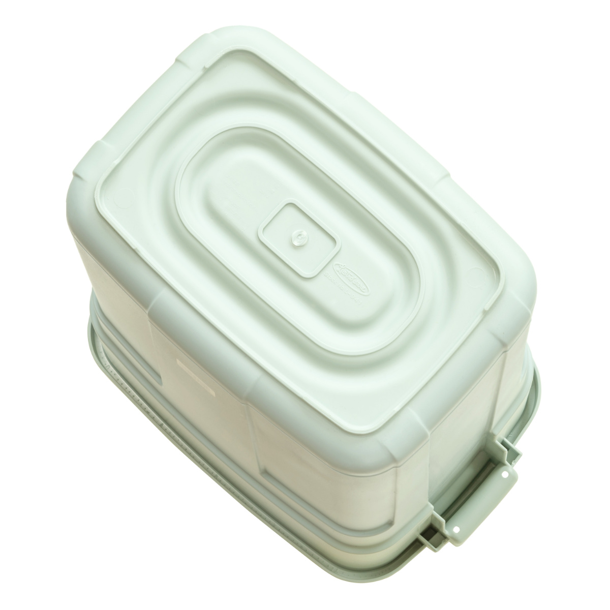 ゴミ箱 ロック付き 30L プラスチック （ ごみ箱 30リットル 丈夫 屋外