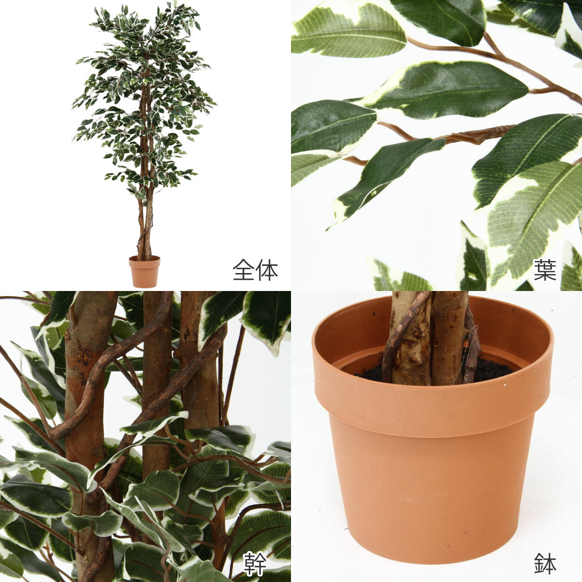 不二貿易（Fuji Boeki） フェイクグリーン フィカス 高さ170cm 斑入り