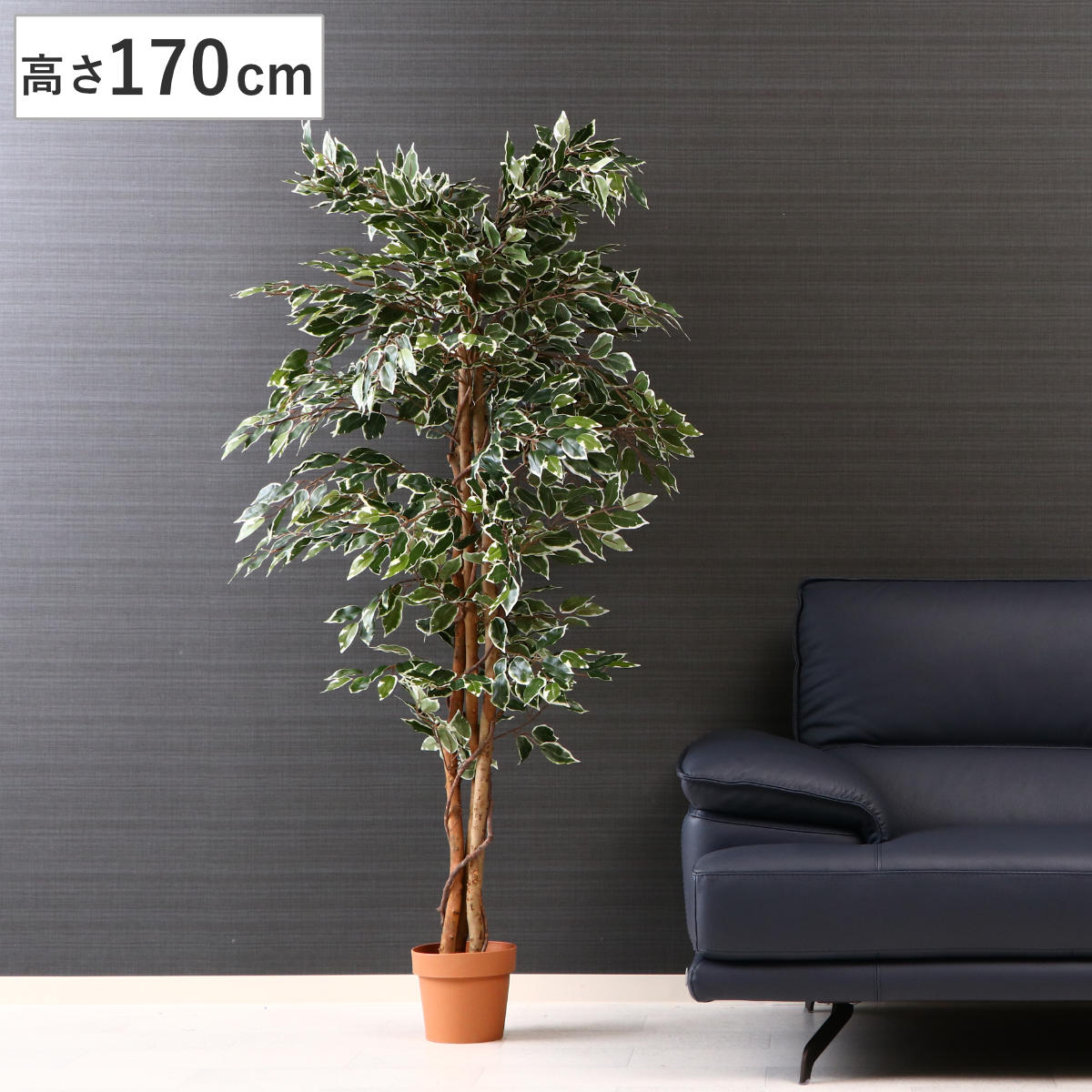 不二貿易（Fuji Boeki） フェイクグリーン フィカス 高さ170cm 斑入り
