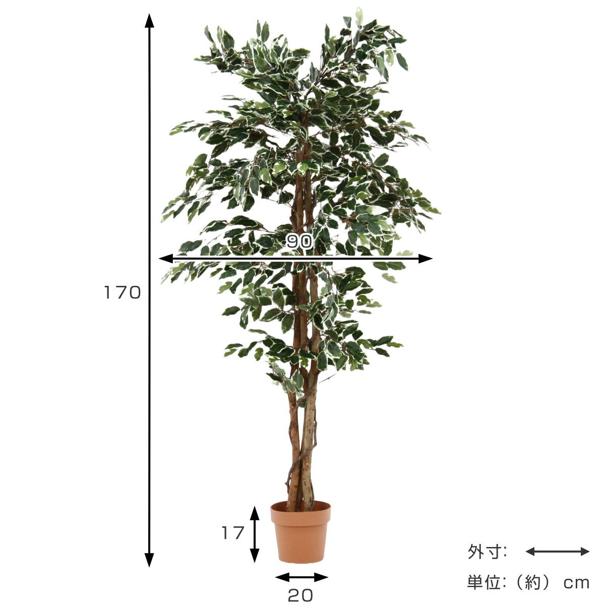 不二貿易（Fuji Boeki） フェイクグリーン フィカス 高さ170cm 斑入り