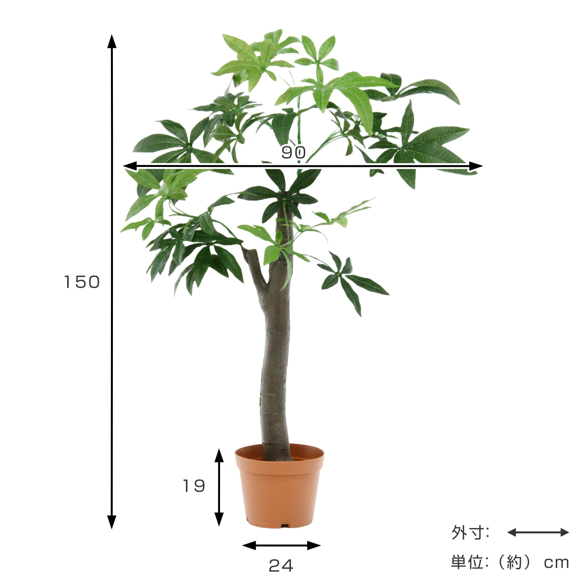 不二貿易（Fuji Boeki） フェイクグリーン パキラ 高さ150cm 朴タイプ