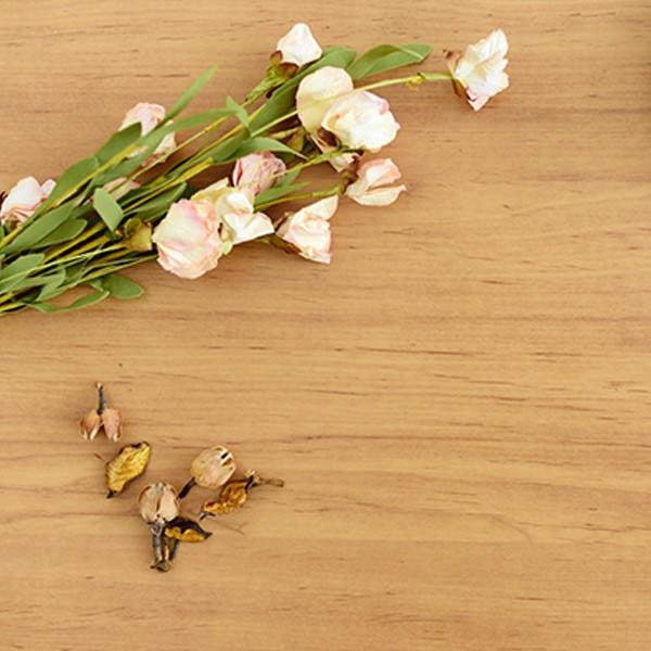 ローテーブル 幅60cm 引出し付 北欧風 Pico （ テーブル センター