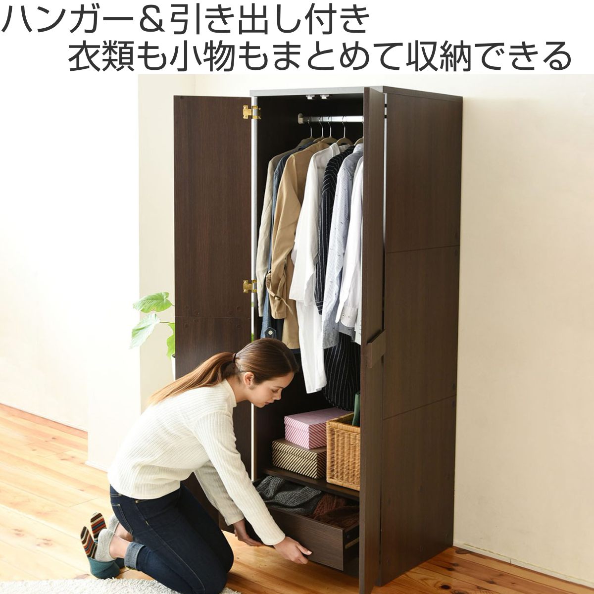 壁面収納 ロッカータンス クローゼット 衣類収納 ロッカーシリーズ 約幅60cm （ 収納 服 衣服 ハンガーラック 整理 ）の画像