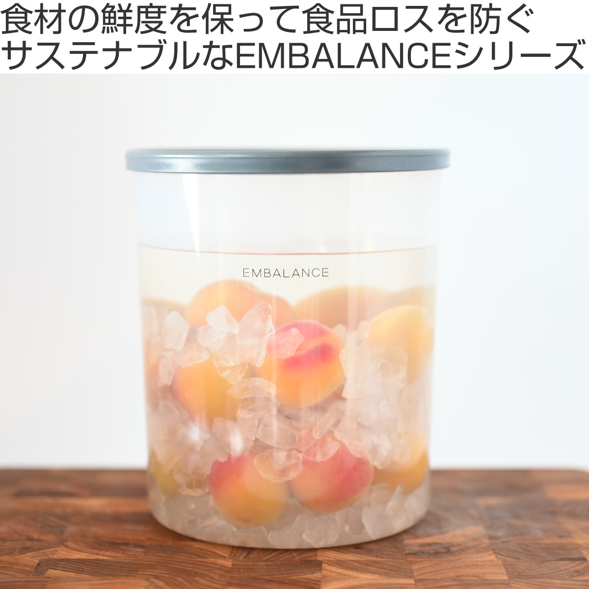 EMBALANCE 保存容器 4.2L フードコンテナ （ エンバランス