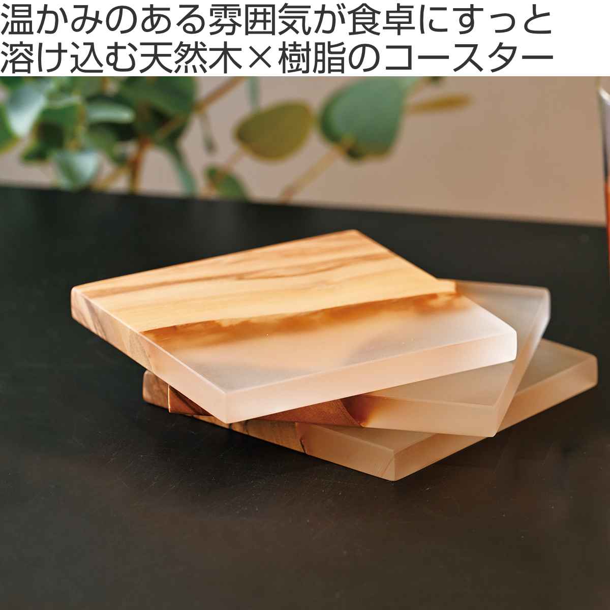 HARIO（ハリオ） コースター 10cm 木製 （ 木製コースター ウッド