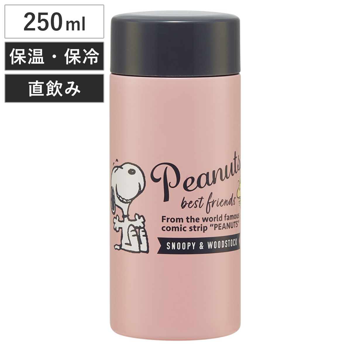 スケーター 水筒 300ml 超軽量ボトル SNバッジ （ チャーリーブラウン