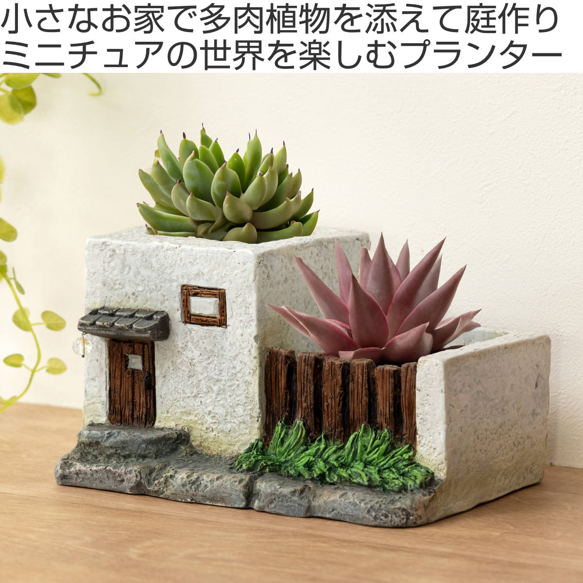 プランター グリーンポット 植木鉢 多肉植物 Bタイプ （ フラワーポット 家 プラントポット プランターポット 鉢 鉢植え セメント ポット 穴あり  ） : 459003 : インテリアパレットヤフー店 - 通販 - Yahoo!ショッピング