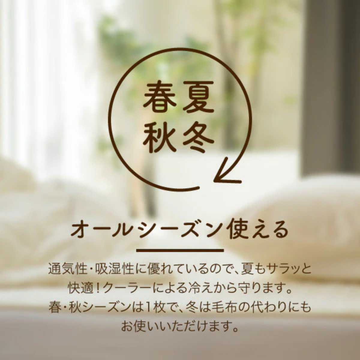 ロマンス小杉 タオルケット シングル 洗濯OK 日本製 セオラ （ オール 