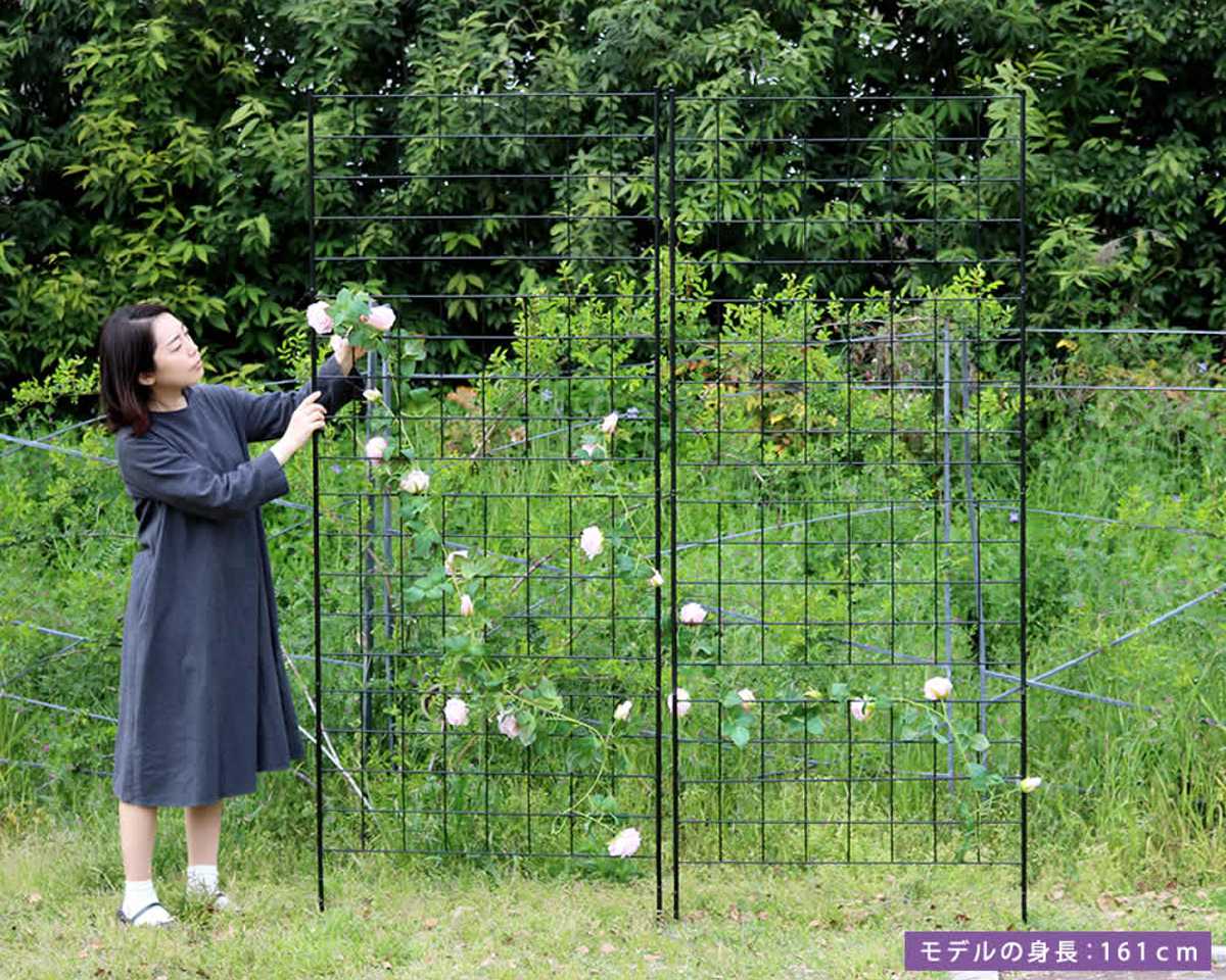 フェンス アイアンフェンス 高さ226cm グラフシリーズ （ ガーデン