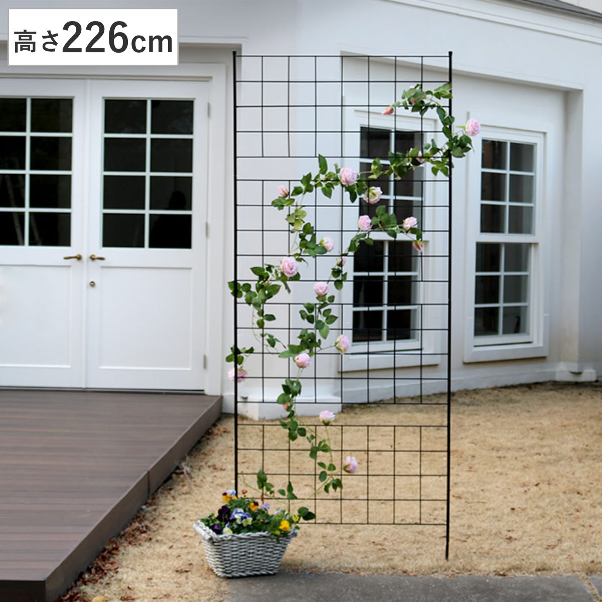 �t�F���X �A�C�A���t�F���X ����226cm �O���t�V���[�Y �i �K�[�f���t�F���X �C���e���A �K�[�f�j���O�G�� �A���e�B�[�N ������� �j