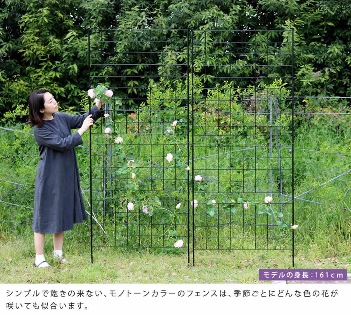 フェンス アイアンフェンス 高さ226cm グラフシリーズ （ ガーデン
