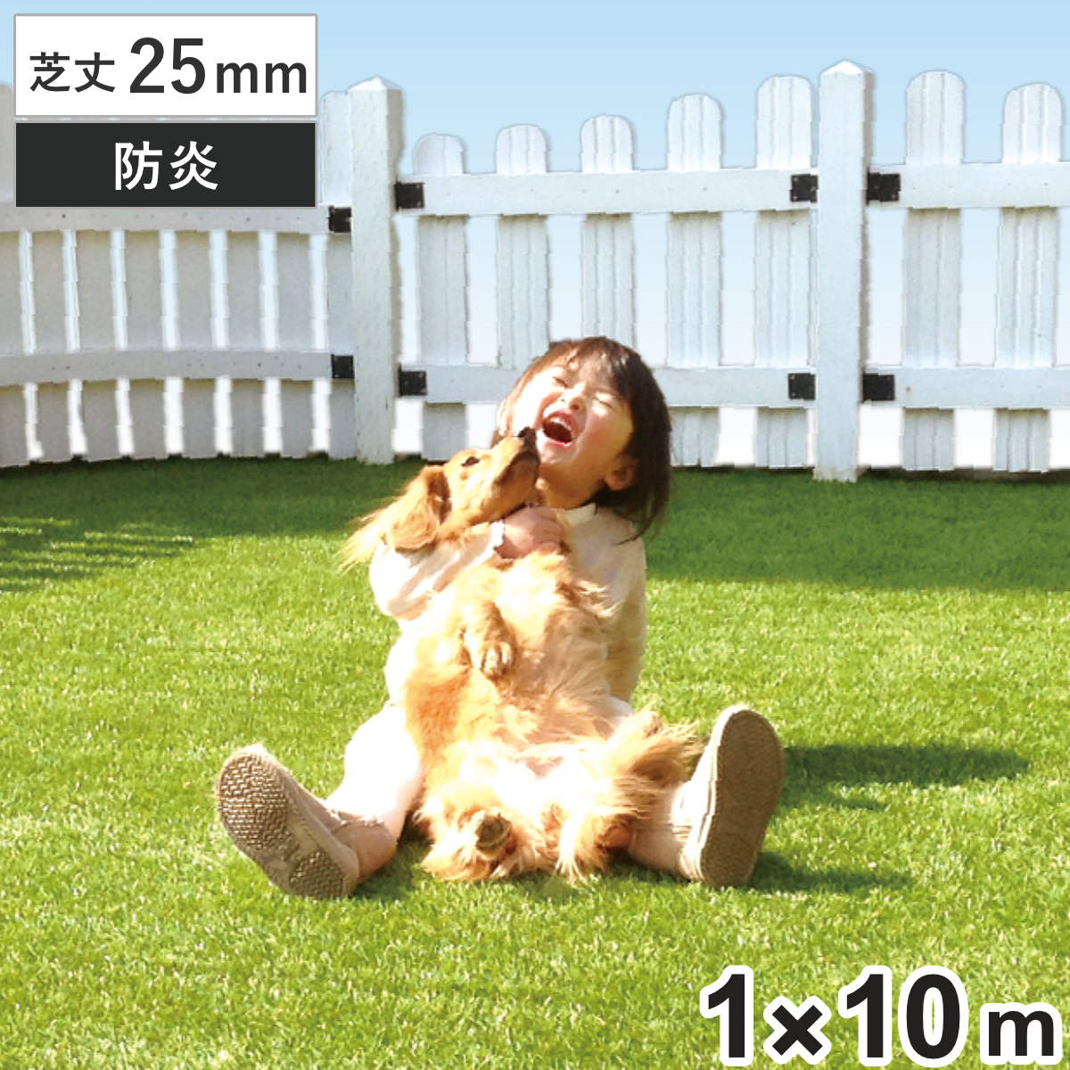 メモリーターフ」の人気商品一覧 | 安い商品を通販サイトから探す