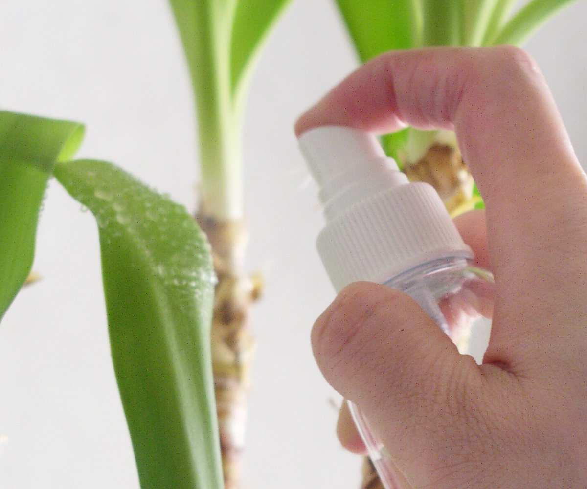 EMBALANCE スプレーボトル 100ml エンバランス 日本製 醤油スプレー