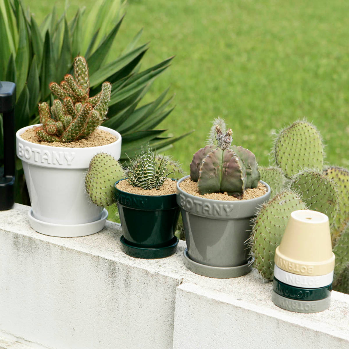 DULTON（ダルトン） 植木鉢 ボタニーポット 6号鉢 ガーデンポット