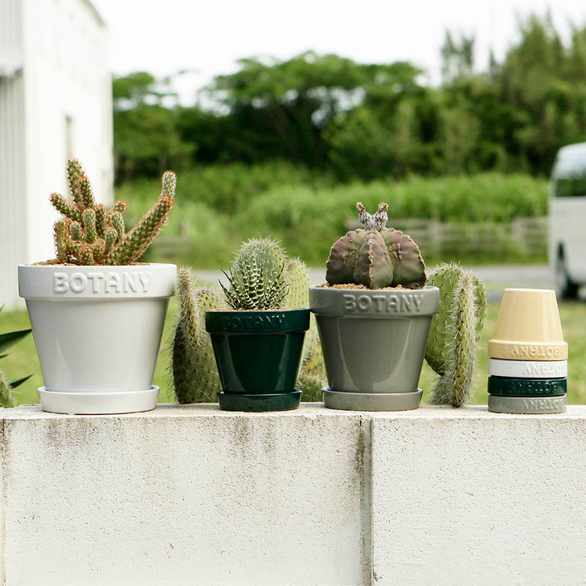 DULTON（ダルトン） 植木鉢 ボタニーポット 6号鉢 ガーデンポット