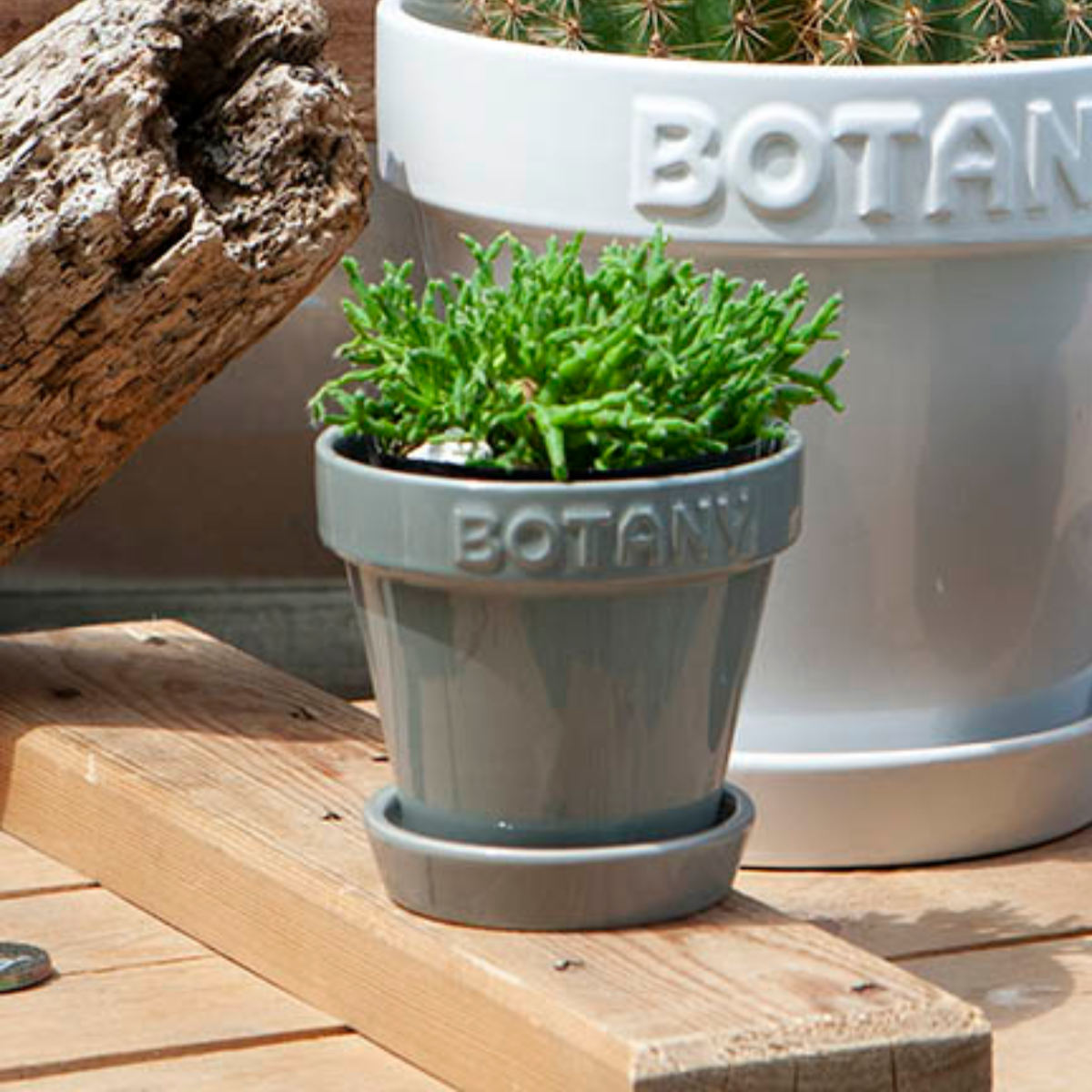 DULTON（ダルトン） 植木鉢 ボタニーポット 3号鉢 ガーデンポット