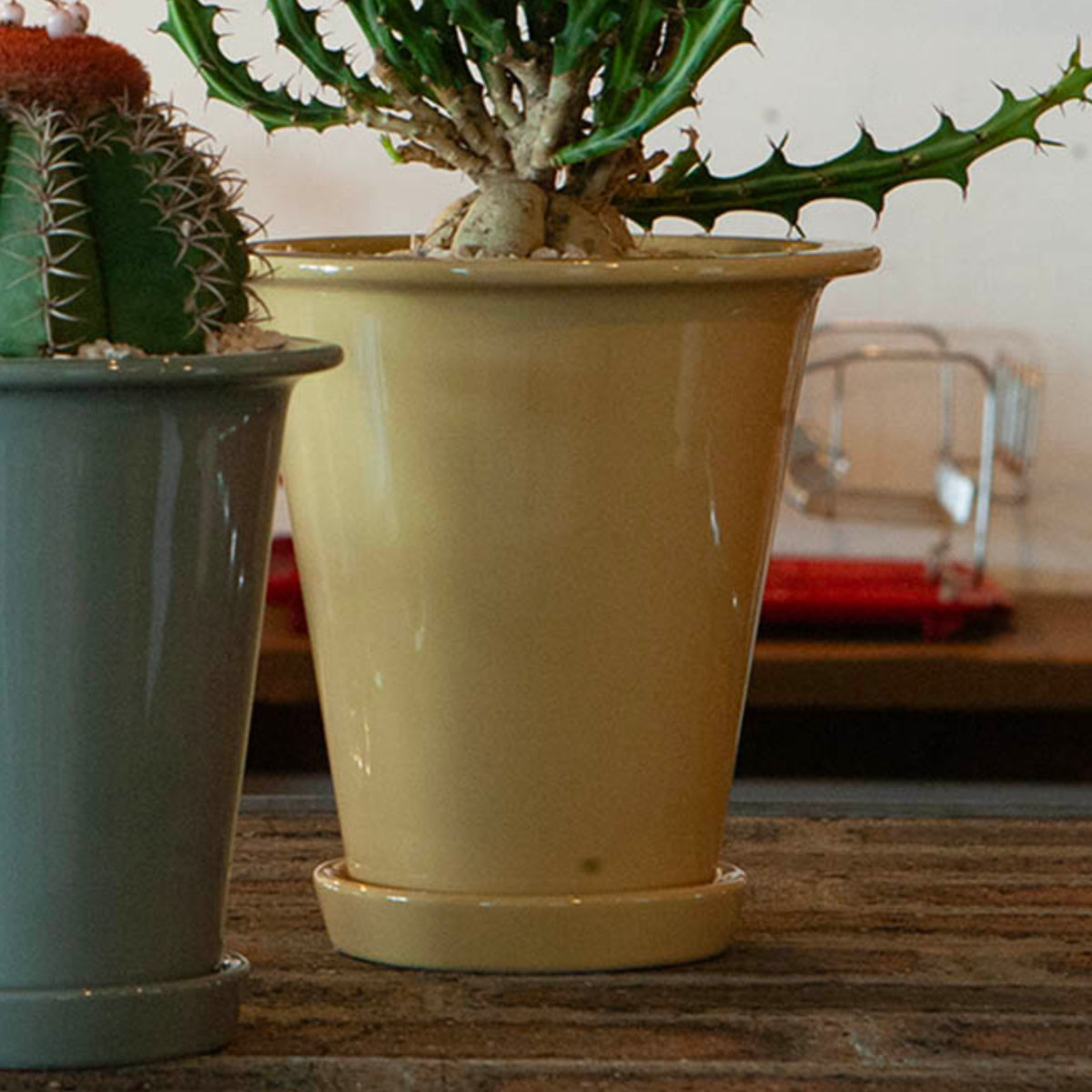 DULTON（ダルトン） 植木鉢 ボタニーロングポット L 直径18.7cm