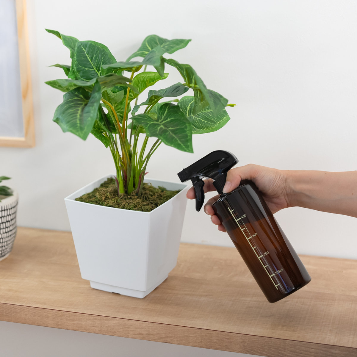 スプレーボトル 500ml PET 霧吹き （ ウォータースプレー 水