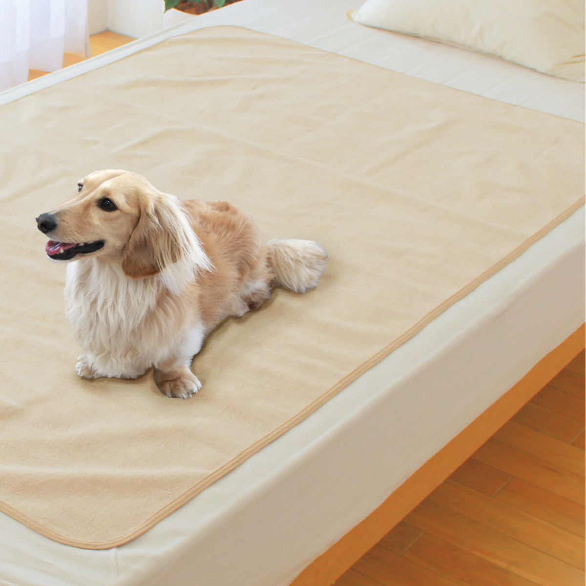防水シーツ 犬 ペトモ抗菌防水シーツ ペットシーツ ( ペット ペット用 防水シーツ 犬 ペトモ抗菌防水シーツ ペットシーツ ( ペット ペット用
