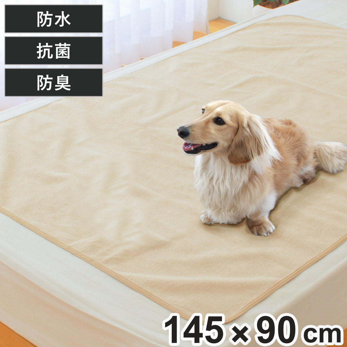防水シーツ 犬 ペトモ抗菌防水シーツ ペットシーツ （ ペット ペット用