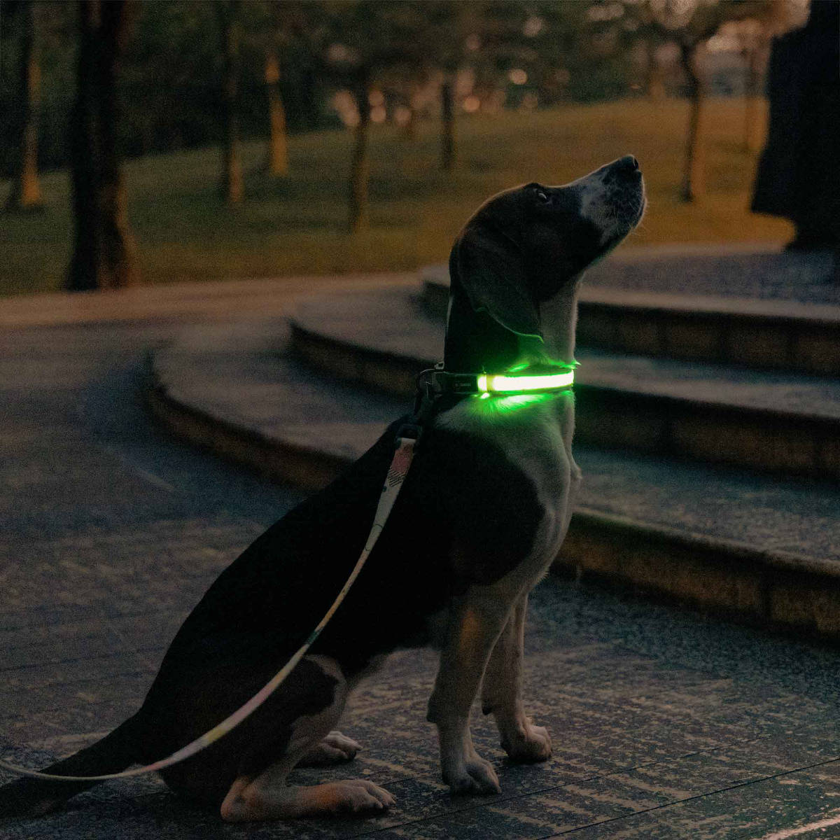 ステンドグラスランプ 犬 卓上スタンド ．豪華テーブルランプ