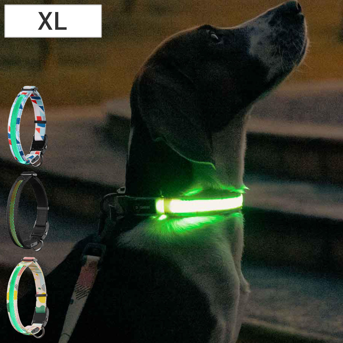 首輪 光る ドッグネス LED首輪 M （ ライト 散歩 犬 犬用ライト