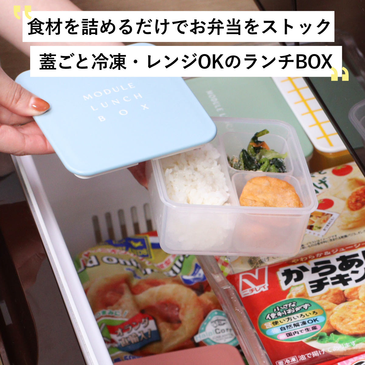 弁当箱 冷凍 1段 400ml MODULE ランチ M （ お弁当箱 レンジ対応 食洗