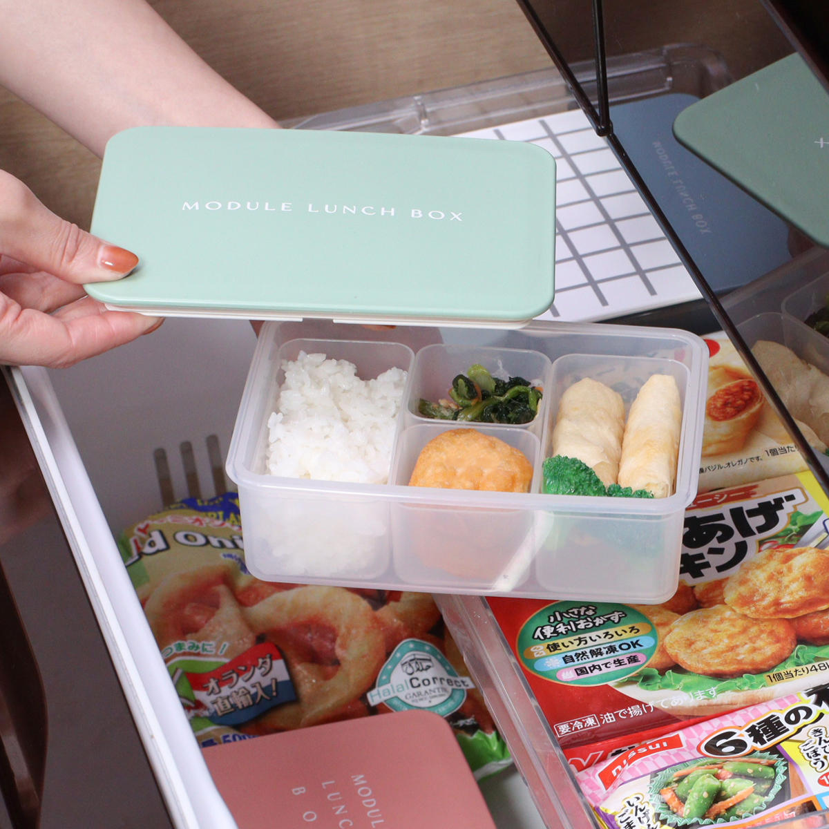 弁当箱 冷凍 1段 600ml MODULE ランチ L （ お弁当箱 レンジ対応 食洗