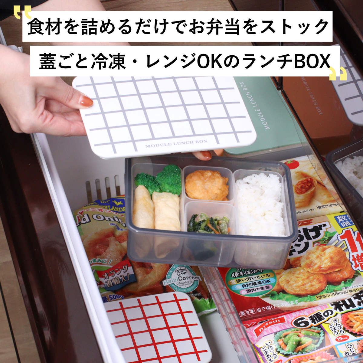 弁当箱 冷凍 1段 600ml MODULE ランチ L グリッド （ お弁当箱 レンジ