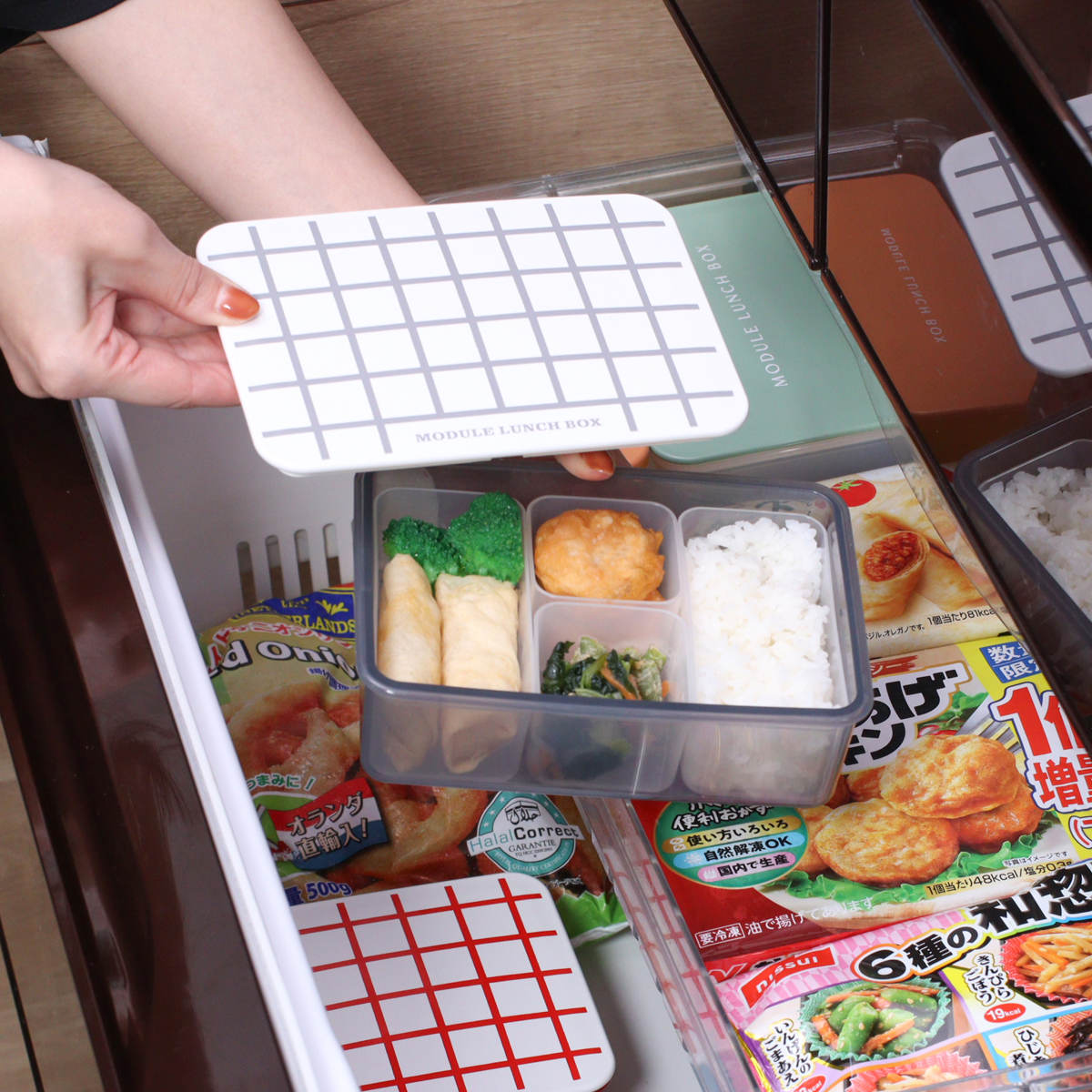 弁当箱 冷凍 1段 600ml MODULE ランチ L グリッド （ お弁当箱 レンジ