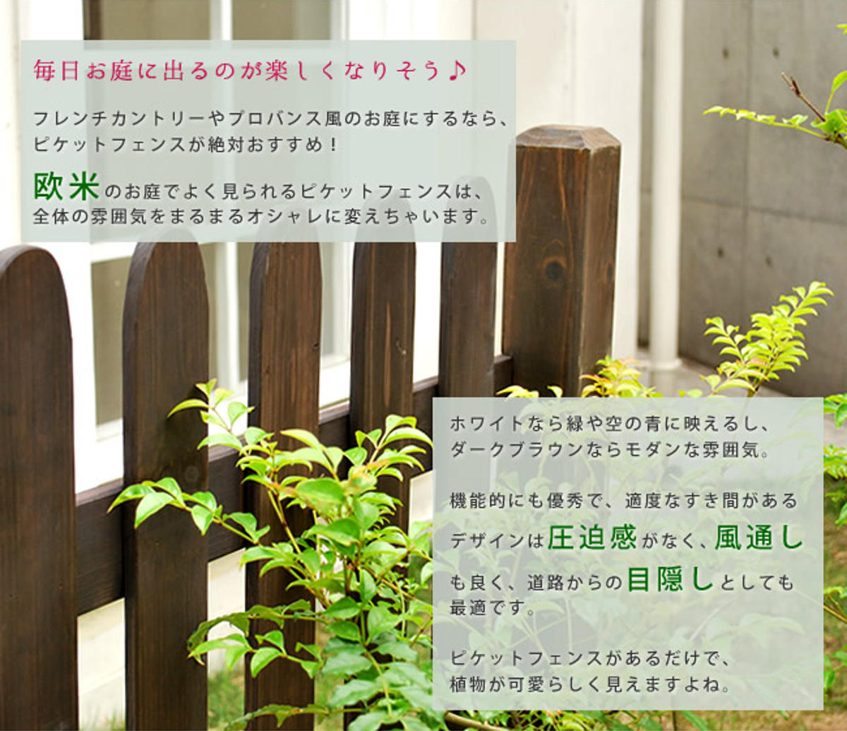 フェンス ピケットフェンス ストレート 連結セット 土中用 （ ガーデン