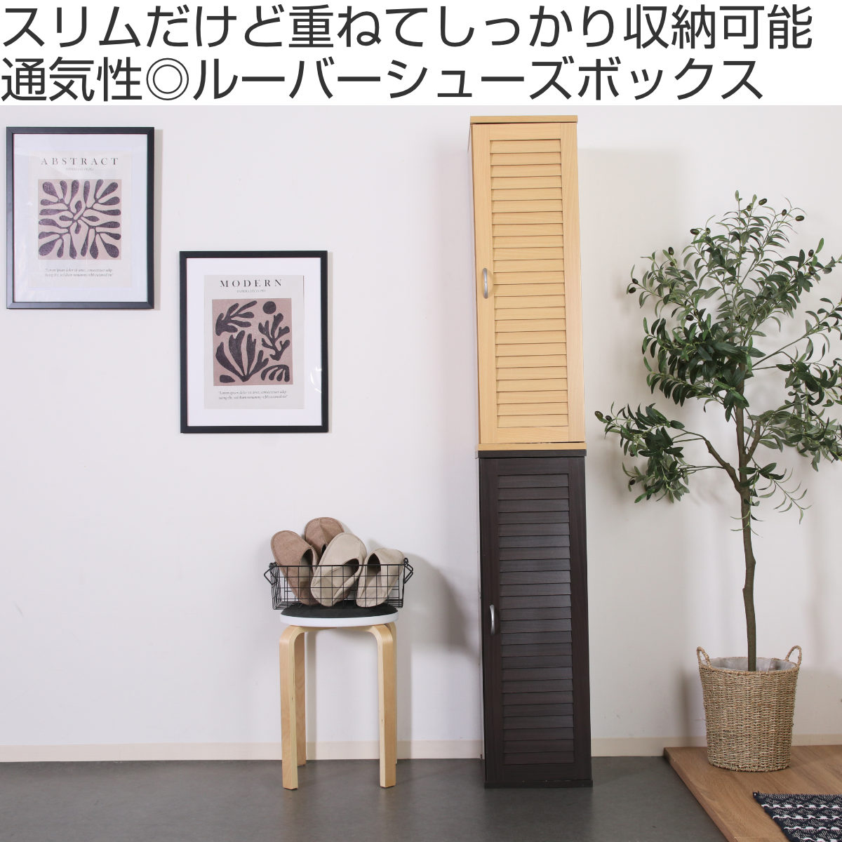不二貿易(Fuji Boeki) 下駄箱 スリムシューズボックス ルーバー扉 5 不二貿易(Fuji Boeki) 下駄箱 スリムシューズボックス ルーバー扉 5