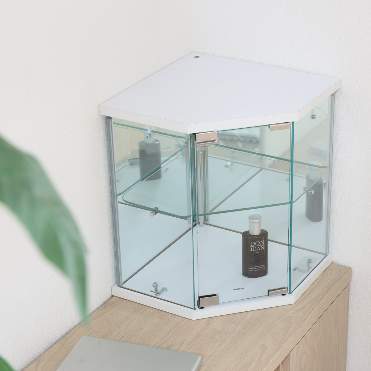 不二貿易（Fuji Boeki） コレクションケース ガラス コーナー型 五角形