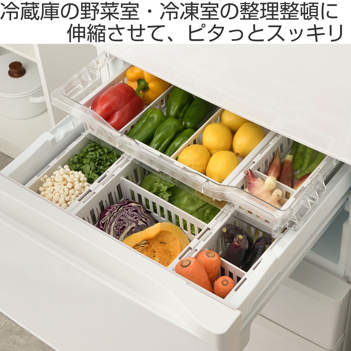 リッチェル（Richell） 冷蔵庫収納 トトノ 野菜・冷凍庫 伸縮
