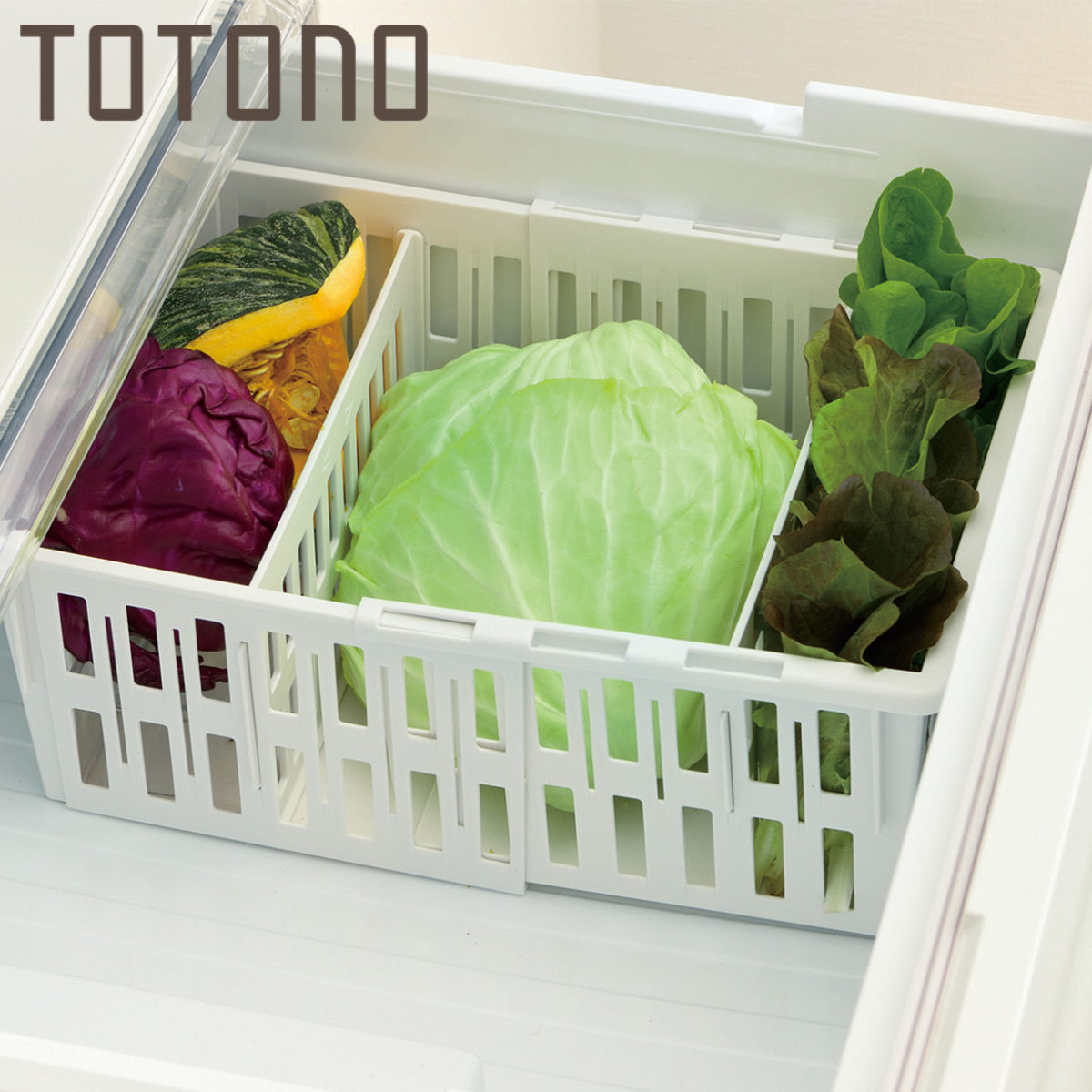 リッチェル（Richell） 冷蔵庫収納 トトノ 野菜・冷凍庫 伸縮