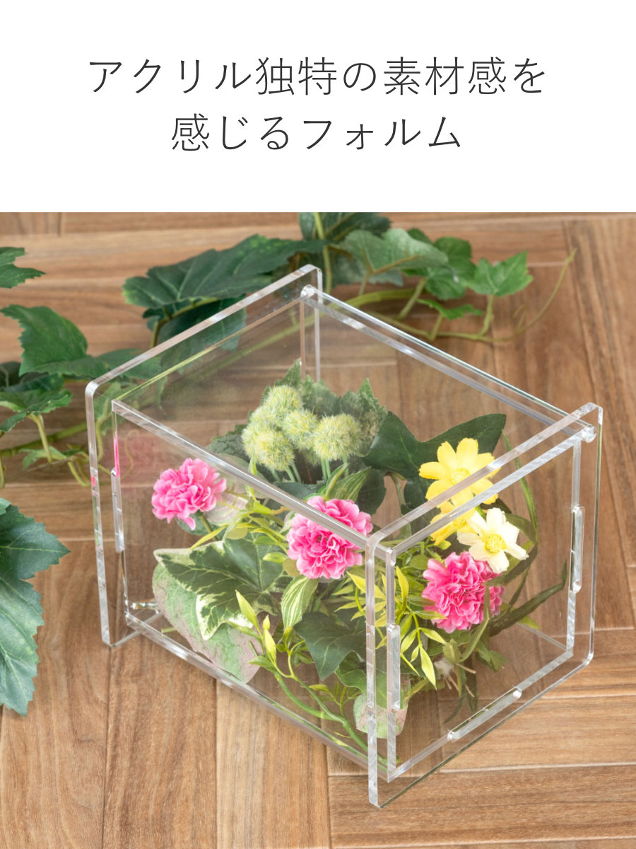 Trytec 特典付き ディスプレイケース Aタイプ amenist （ 透明 クリア