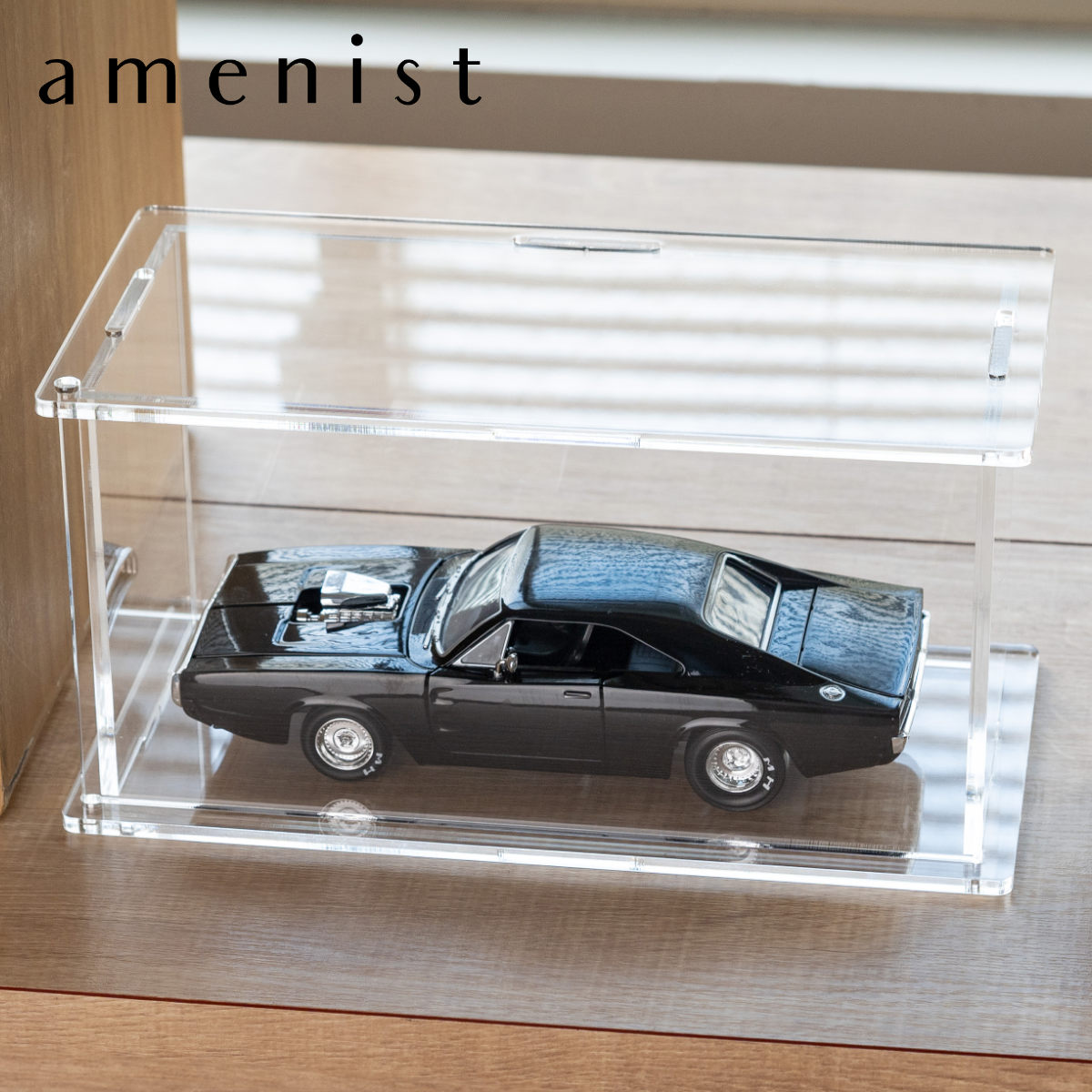 Trytec 特典付き ディスプレイケース Bタイプ amenist （ 透明