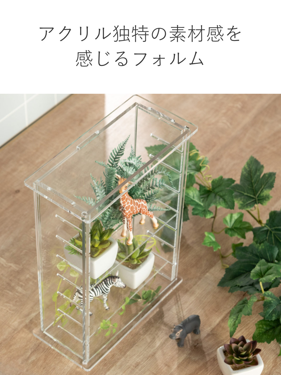 Trytec 特典付き ディスプレイケース Dタイプ amenist （ 透明 クリア