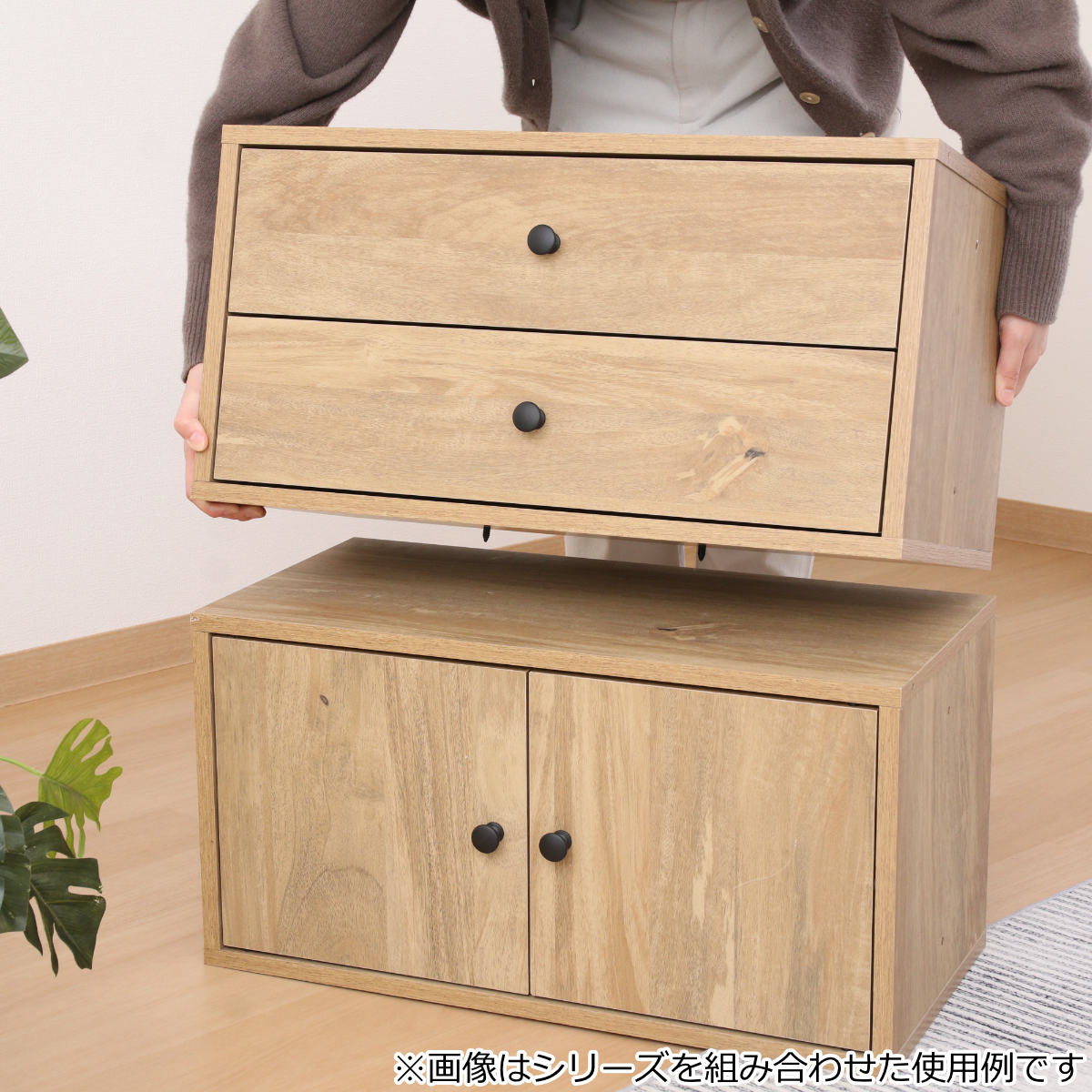 インナーボックス EZBO コネクトボックス 引き出し 2段 （ 幅60×奥行32