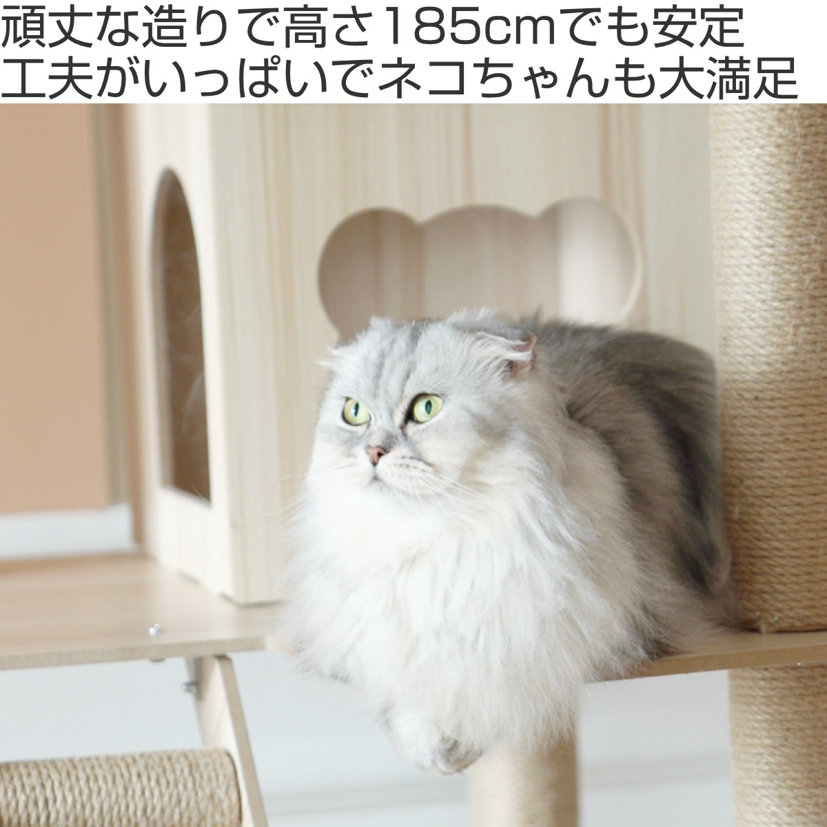 キャットタワー ねこぞく ポルカ 木製 据え置き （ キャットツリー 猫