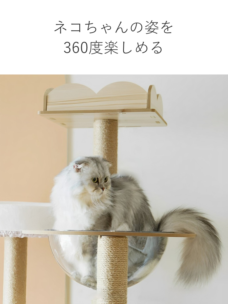 キャットタワー ねこぞく ポルカ 木製 据え置き （ キャットツリー 猫