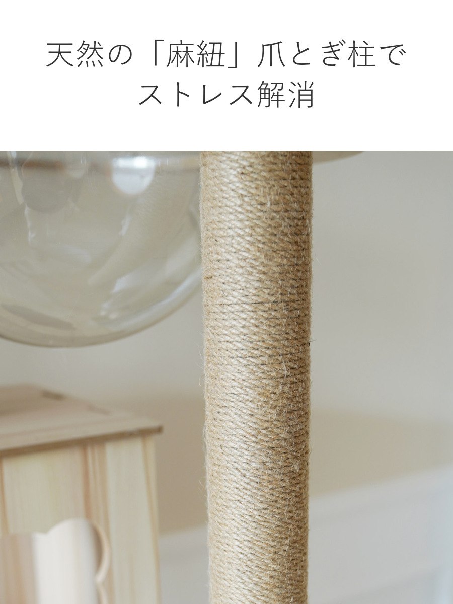キャットタワー ねこぞく ポルカ 木製 据え置き （ キャットツリー 猫